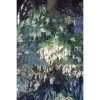 Pieris japonica 'Amami Island' - Image 3