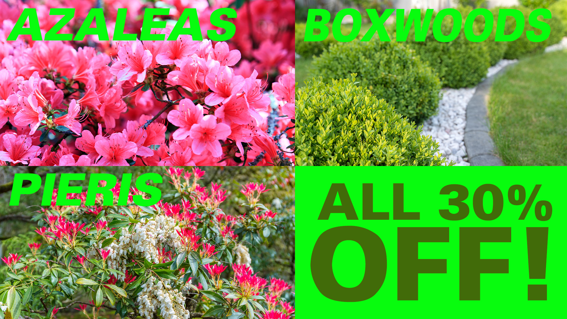 Spring is Here April Sale - Kiefer Nursery: Trees, Shrubs, Perennials