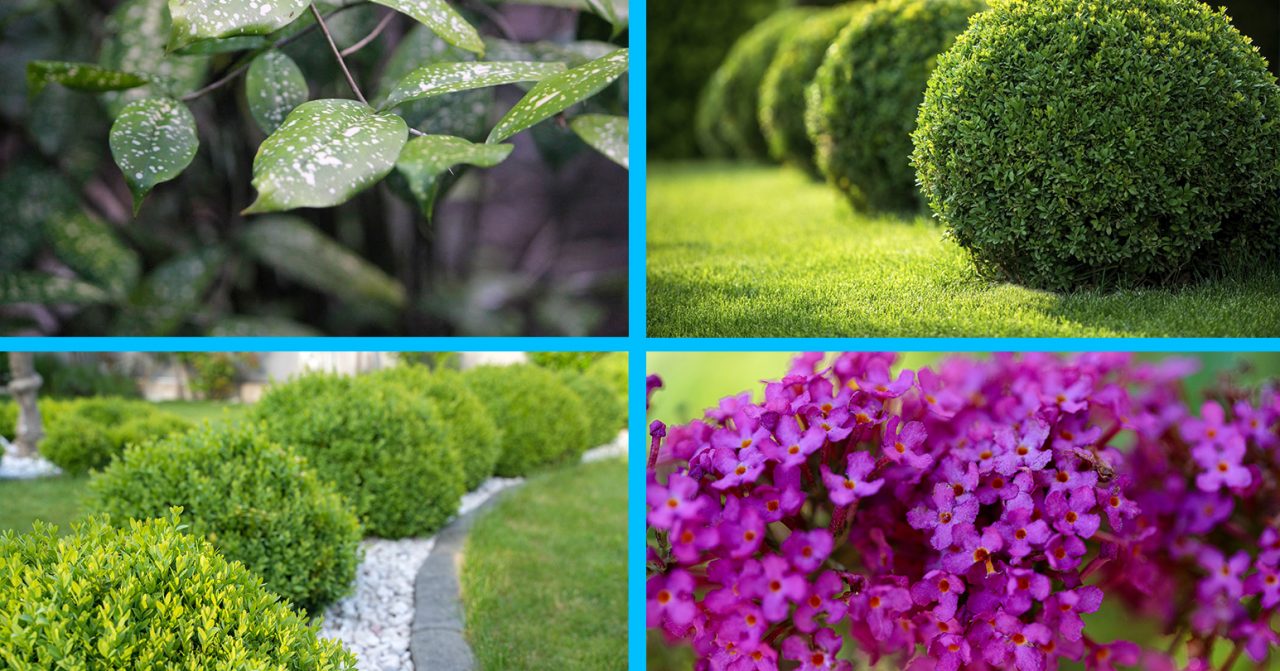 IT’S NOT TOO COLD TO PLANT NOVEMBER &amp; DECEMBE SALE