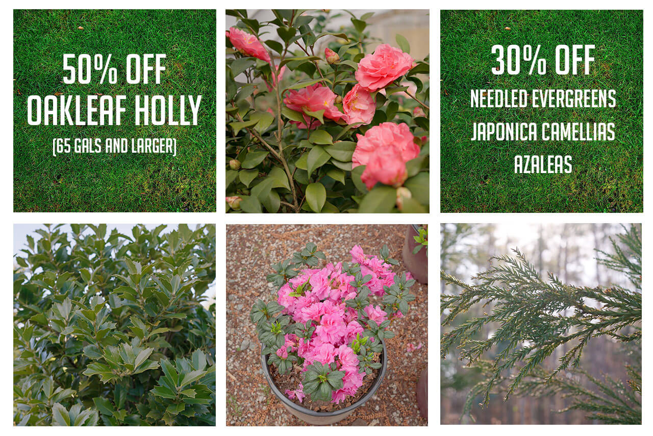 March-Sale March Ad