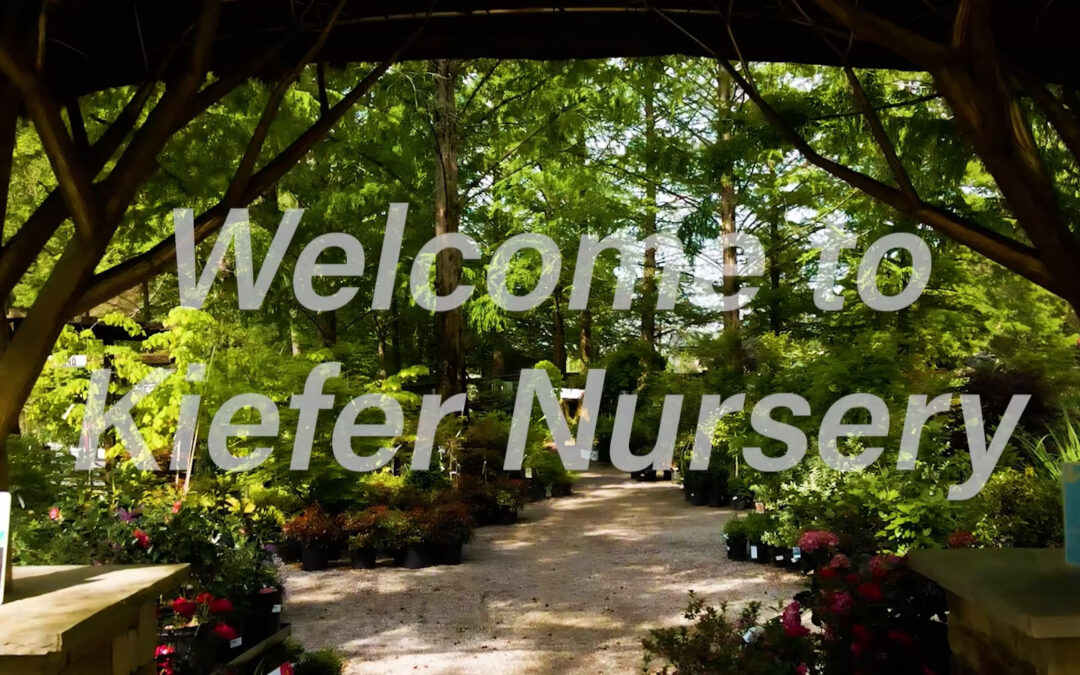 April 2025 Newsletter