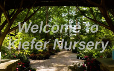 April 2025 Newsletter