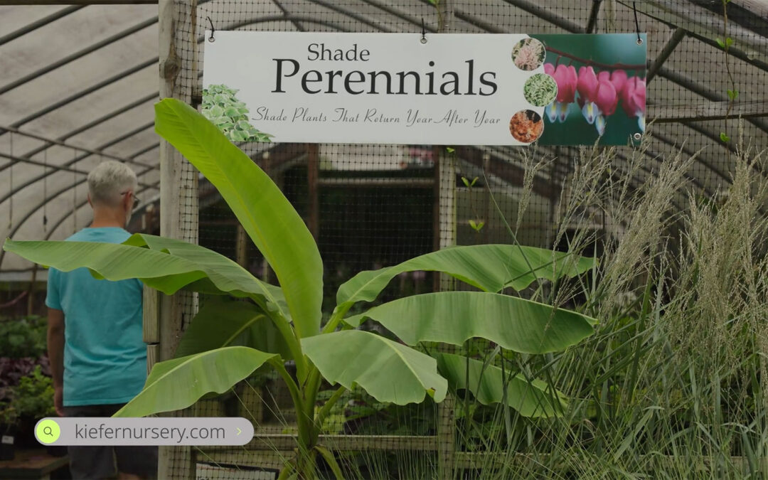 August 2025 Newsletter