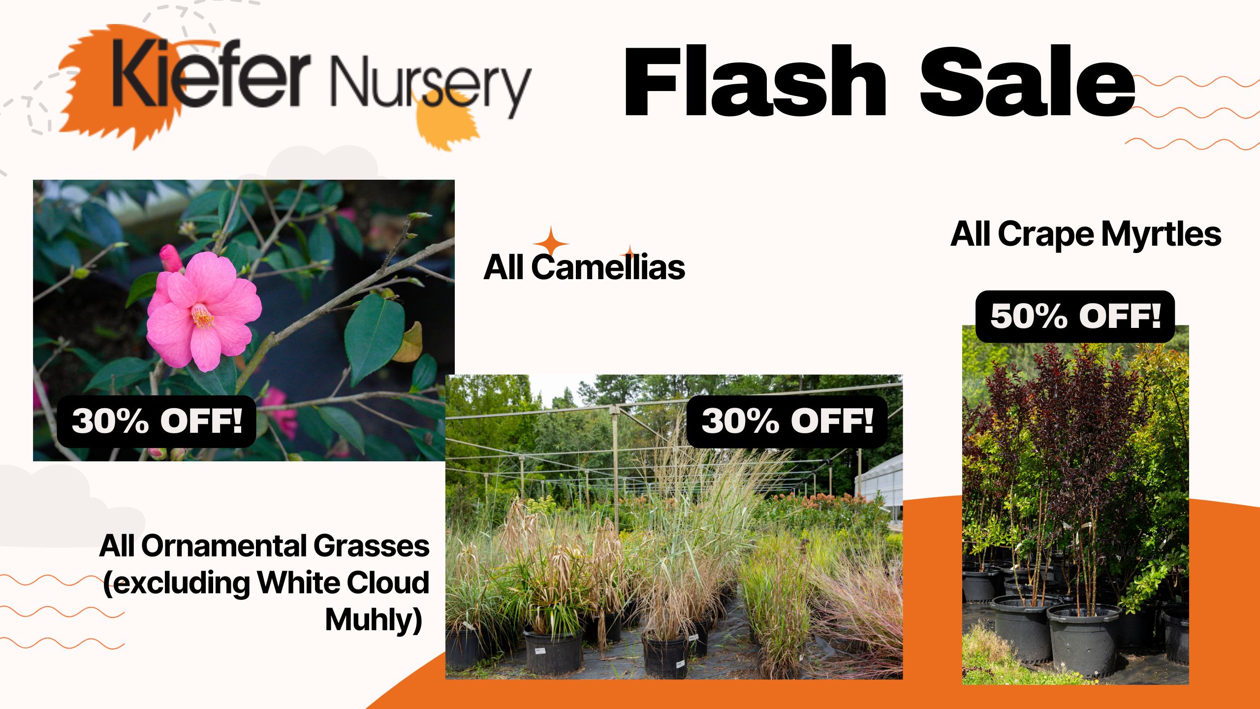 April 2025 Flash Sale