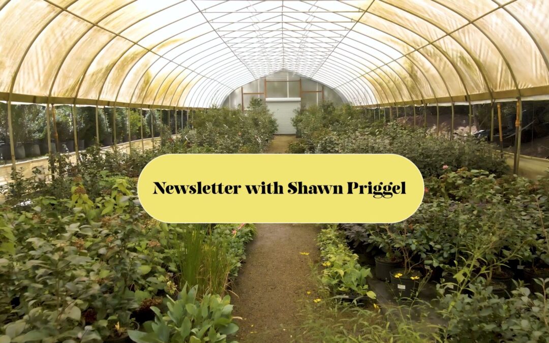 October 2025 Newsletter