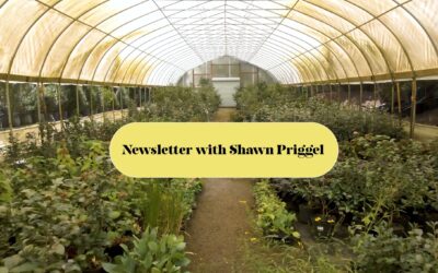 October 2025 Newsletter