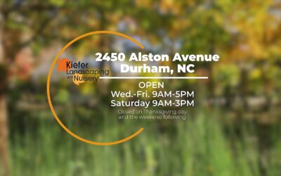 November 2025 Newsletter