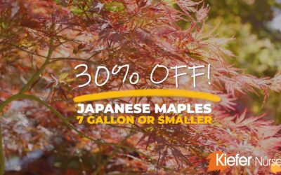 April 2026 Newsletter