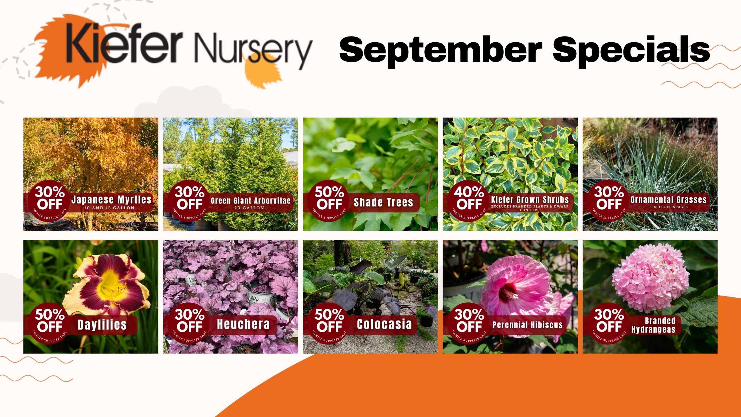 September 2026 Specials April 2025 Sale
